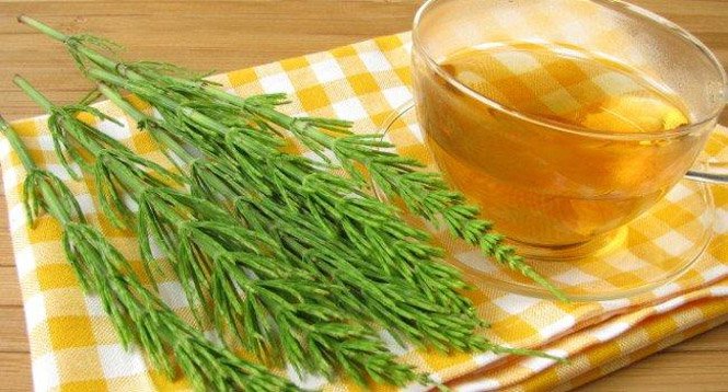 Dieta Para Perder Barriga! Alimentos Queimadores de Gordura