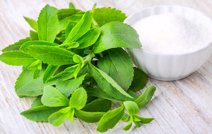 Adoçante Faz Mal a Saúde? Emagrece, Engorda ou É um Veneno? Adoçante Faz Mal a Saúde? Emagrece, Engorda ou É um Veneno?