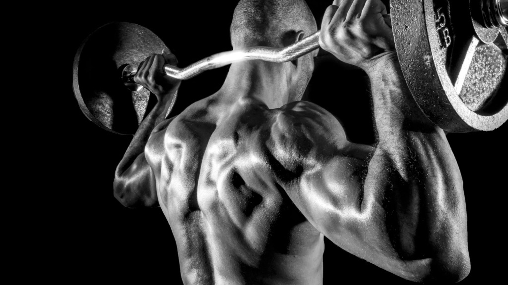 defina-seu-corpo-em-algumas-semanas defina-seu-corpo-em-algumas-semanas